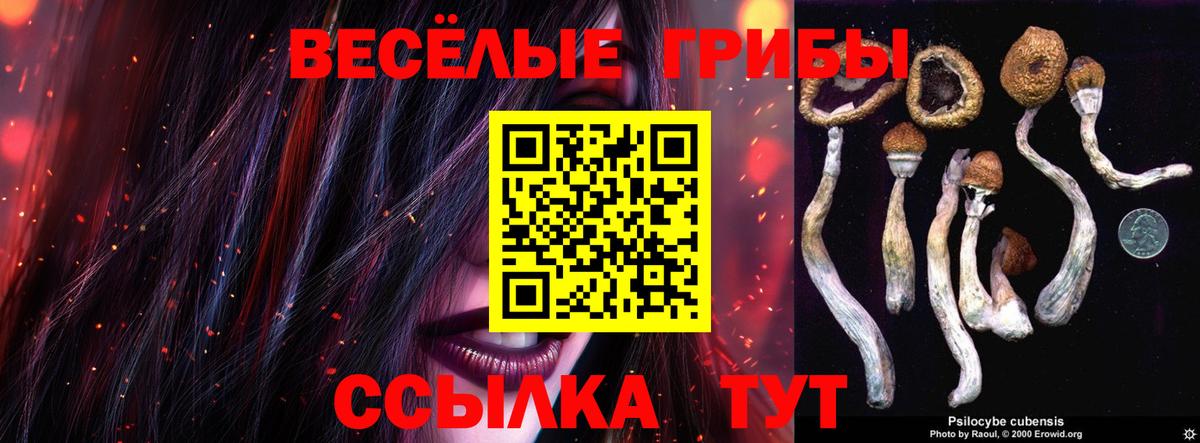 Галлюциногенные грибы Cubensis Кирово-Чепецк