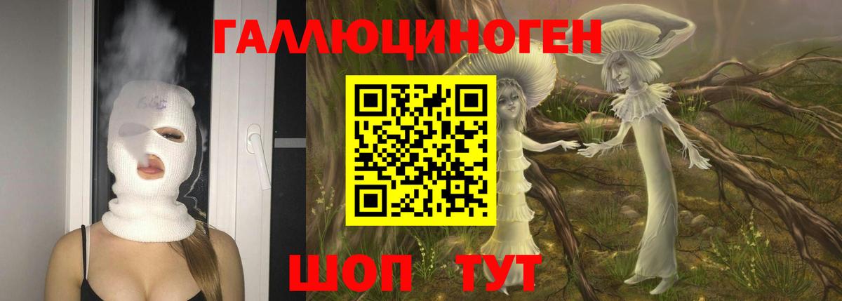 Кирово-Чепецк  Галлюциногенные грибы Psilocybe  Вход с VPN 